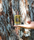 Les Senteurs Gourmandes Black Oud 100ml eaux de parfum #Size_100ml