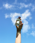 Les Senteurs Gourmandes Thé absolu 100ml eaux de parfum #Size_100ml